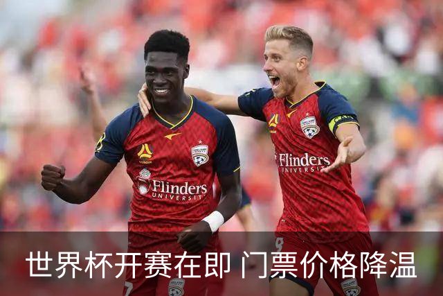 世界杯开赛在即 门票价格降温